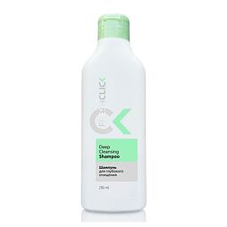 Shampoo für die Tiefenreinigung der Haare